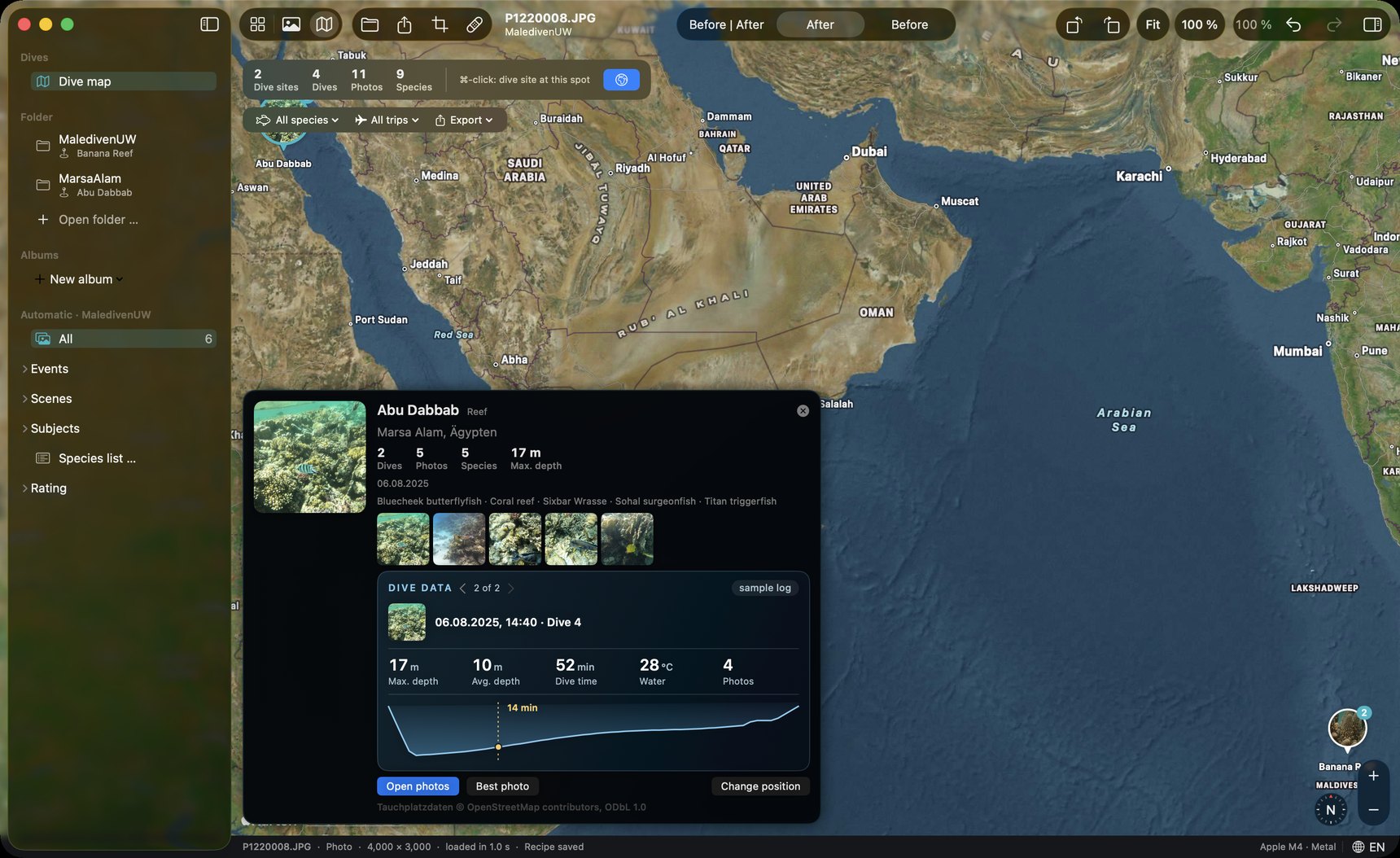 DepthLight dive map: a pin at Abu Dabbab, Marsa Alam, with photos, species and the dive data of the selected dive