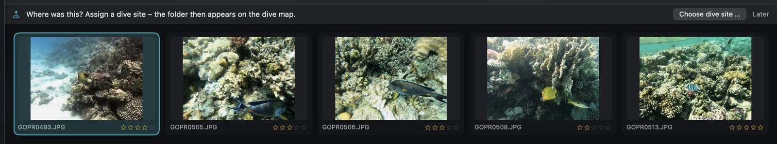 The bar above the photos: “Where was this? Assign a dive site – the folder then appears on the dive map.”