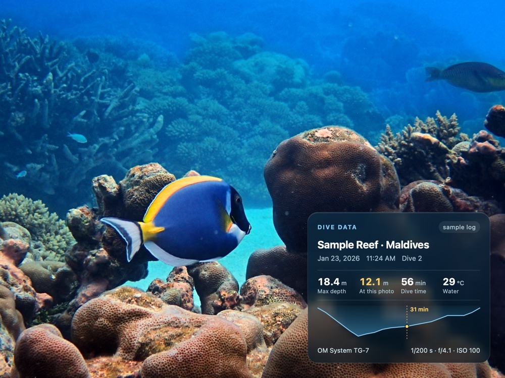 Photo with dive-data overlay: site, depth, dive time, temperature and depth profile.