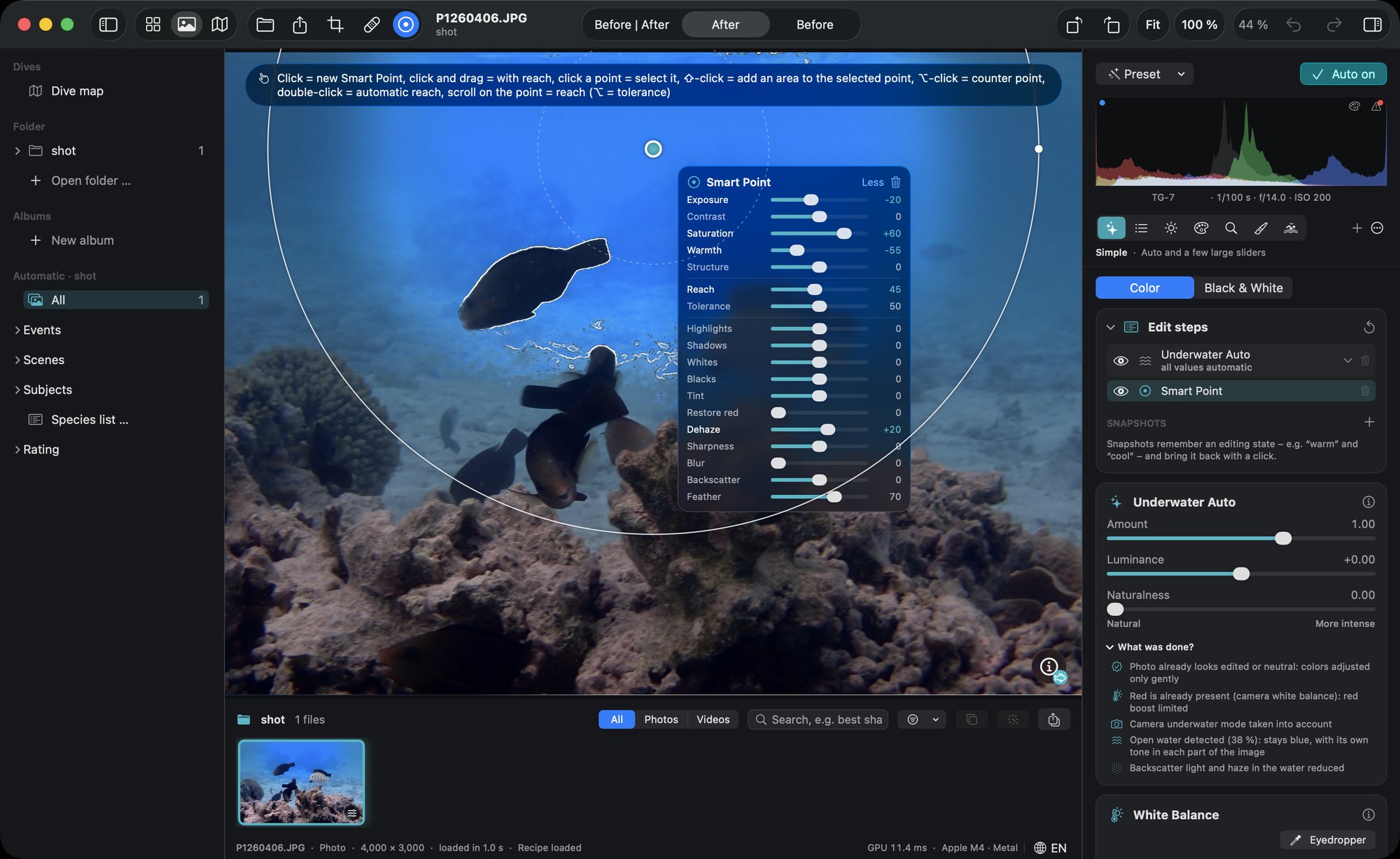 DepthLight with a Smart Point in the open water: the point, its reach and all its sliders.