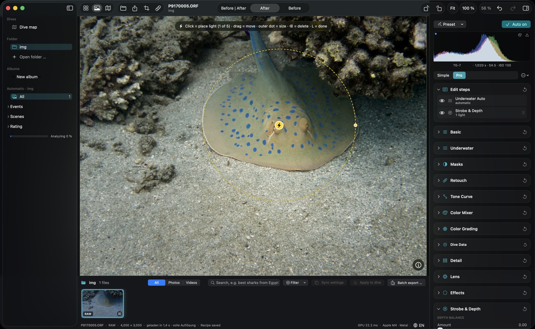 DepthLight with the Strobe & Depth panel: a light placed on a blue-spotted ribbontail ray, with the handles to move and resize it.