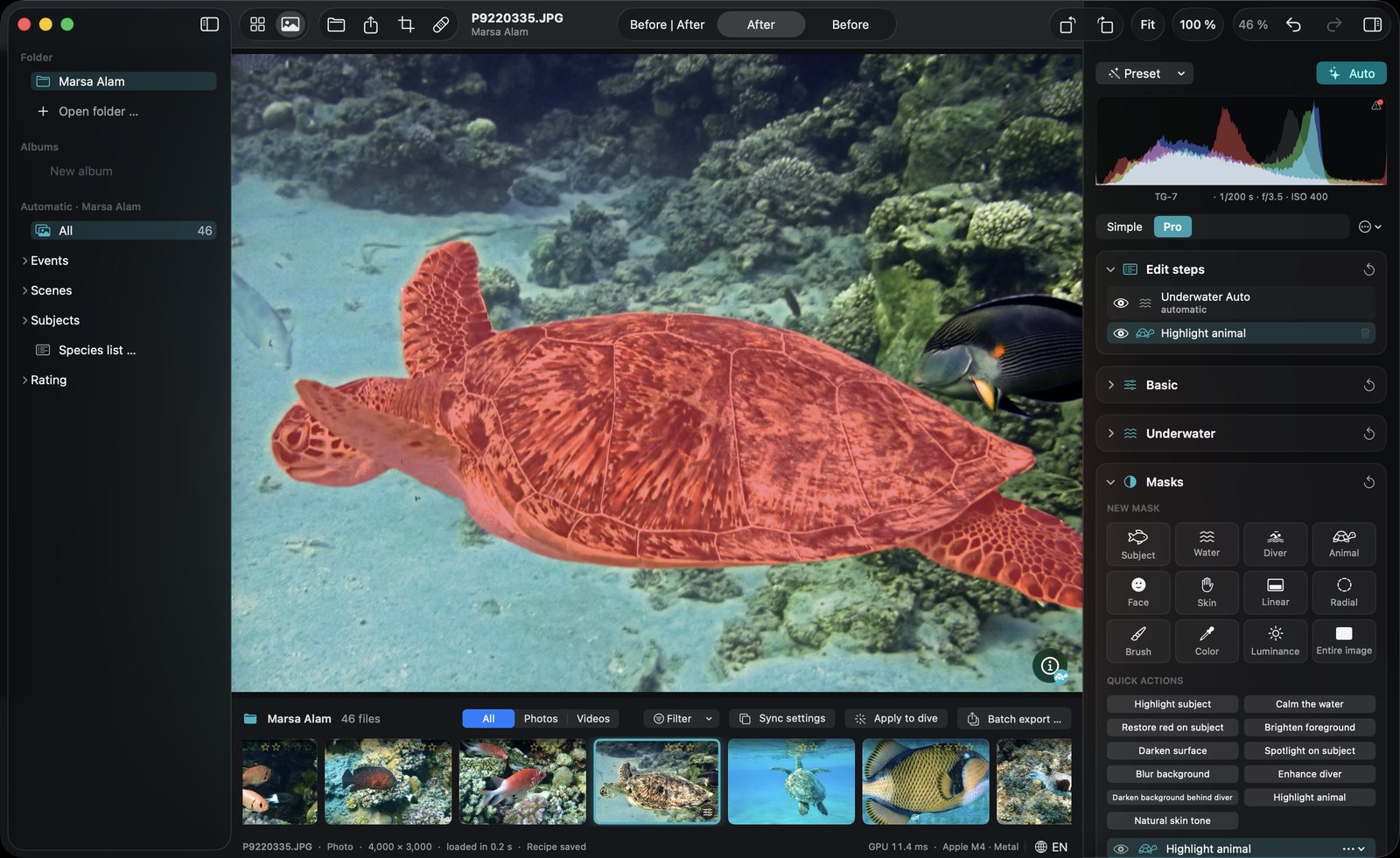 DepthLight editor with a green sea turtle selected by the Animal mask (shown in red) and the Masks panel open.