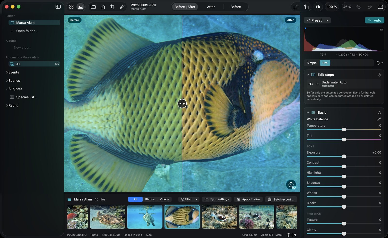 DepthLight editor in Pro mode with tone curve, color mixer and detail panels.