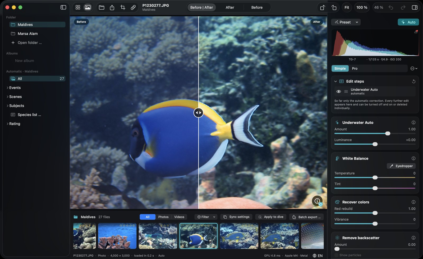DepthLight editor in Simple mode: before/after split of a powder blue tang, cards for Underwater Auto, White Balance, Recover colors and Remove backscatter.