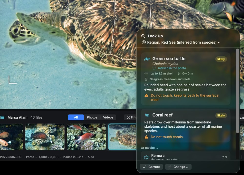 Species profile in the app: Green sea turtle, Chelonia mydas, up to 1.2 m shell, 0–40 m, with a note not to block its way to the surface.